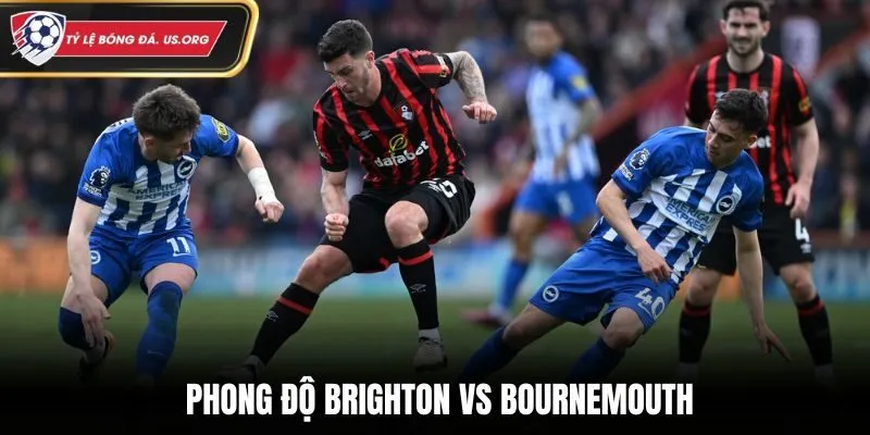 Soi kèo Brighton vs Bournemouth qua góc nhìn từ phong độ