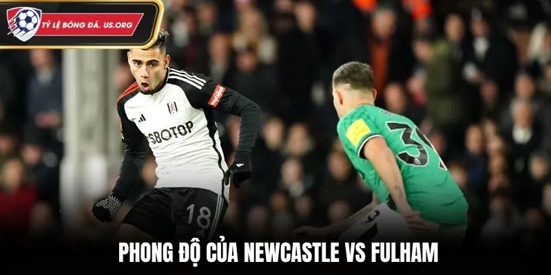 Đánh giá phong độ thi đấu gần đây của Newcastle vs Fulham