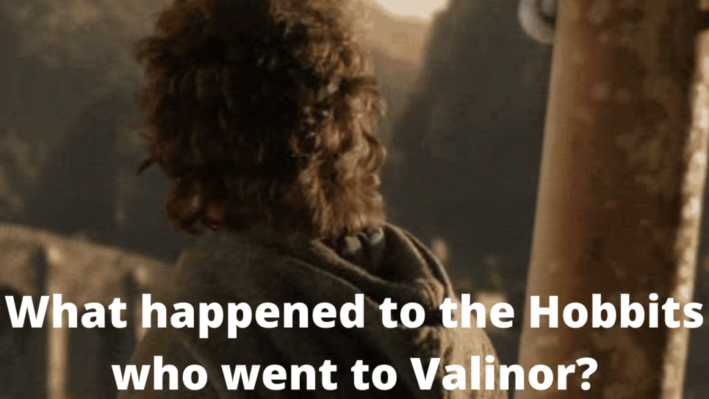 What happened to the Hobbits who went to Valinor?